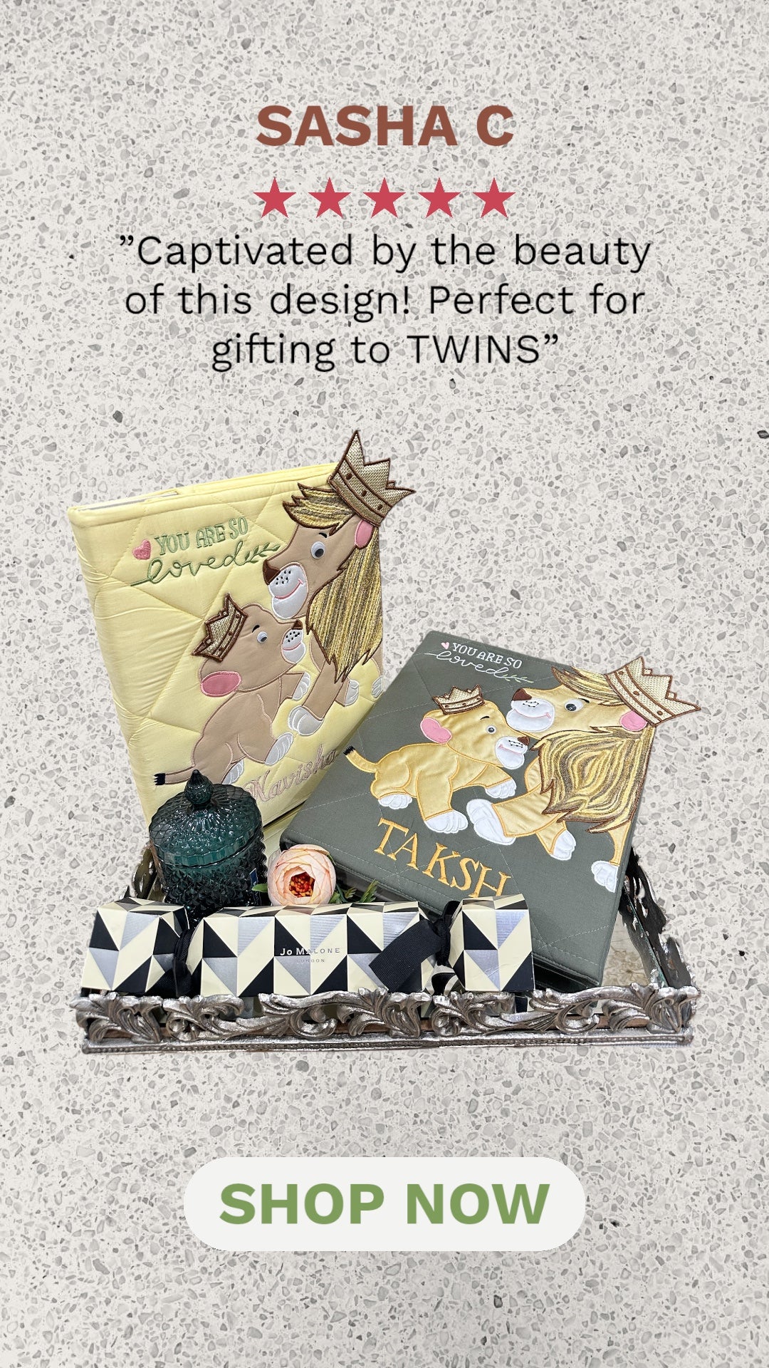 "Simba & Mufasa" TWIN Doctor File Set