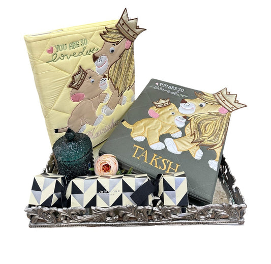 "Simba & Mufasa" TWIN Doctor File Set