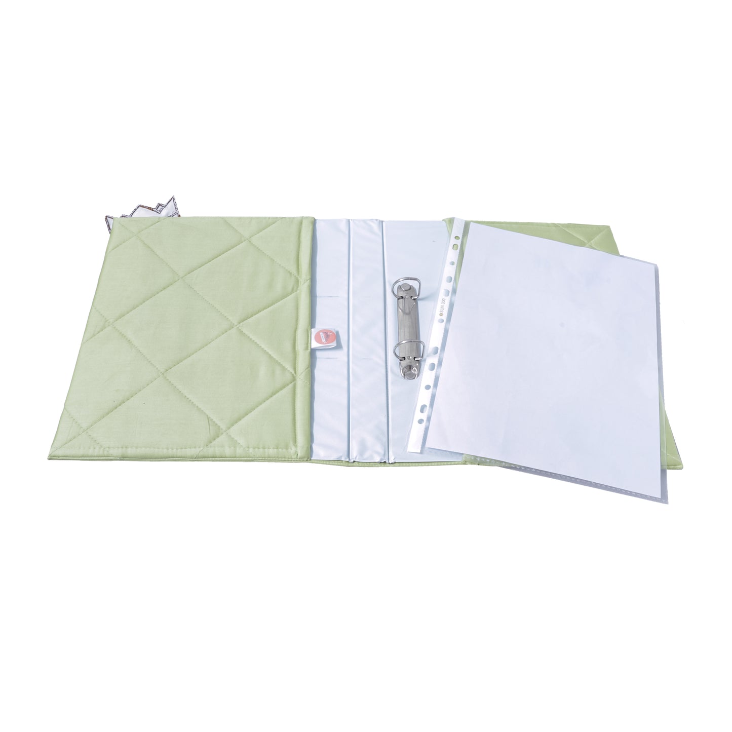 "Simba & Mufasa" Doctor File (Sage)